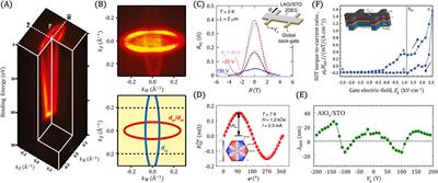 Transition metal oxides: a new frontier in spintronics driven by novel quantum states and efficient charge-spin interconversion